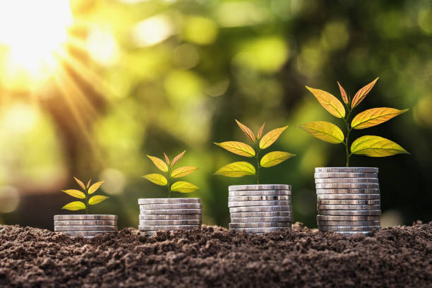 istock plant growing on coin stack with sunset. concept saving money and business finance 921013204