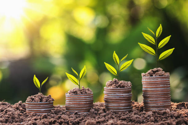 istock plant growing on coin stack with sunset. concept saving money and business finance 921013470