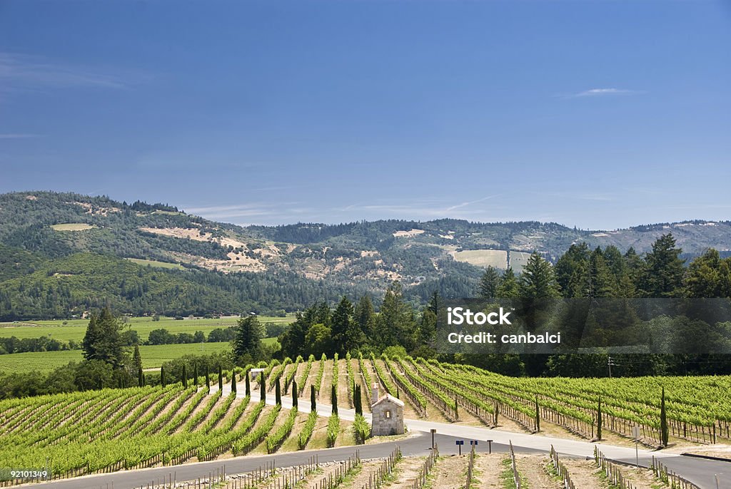 Weingut in Napa, Kalifornien - Lizenzfrei Farbbild Stock-Foto