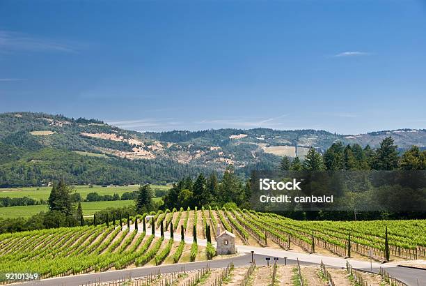 Weingut In Napa Kalifornien Stockfoto und mehr Bilder von Farbbild - Farbbild, Feld, Fotografie