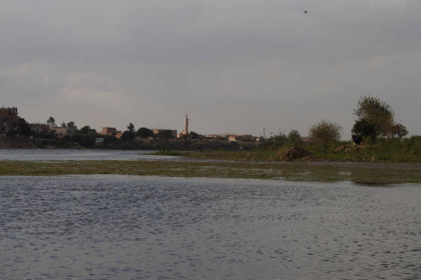 istock A view of the shore and Nile bank 921015986