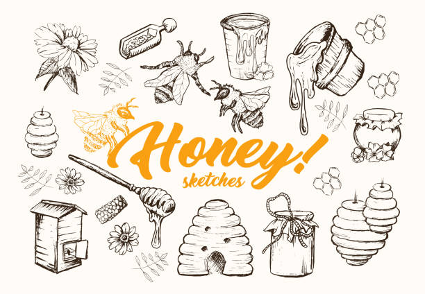 ilustraciones, imágenes clip art, dibujos animados e iconos de stock de conjunto de bocetos, colmena de la abeja, tarro de miel, barril, ilustración de vector dibujado a mano una cuchara de miel - spoon honey cute jar