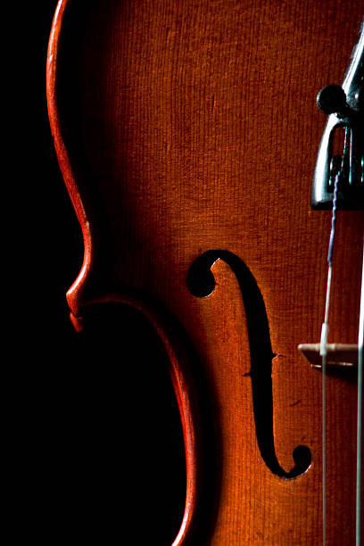 istock Closeup of violin on black 92101877