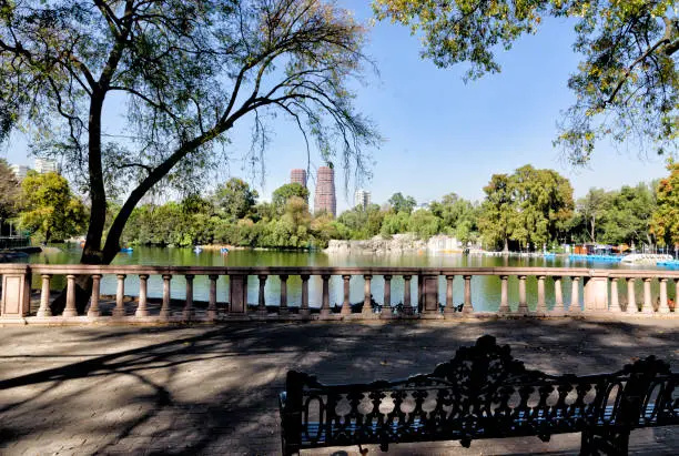 Lake Chapultepec is one of the best known and most visited natural areas in Mexico City. Mandatory stop for tourists and citizens who often schedule a picnic. A boat ride on the lake admiring the big buildings of the city that look out, relax live from another side.