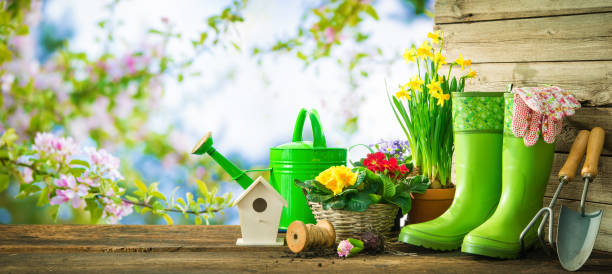 istock Gardening tools and spring flowers on the terrace 921023518