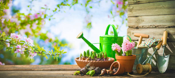 Gardening tools and spring flowers on the terrace