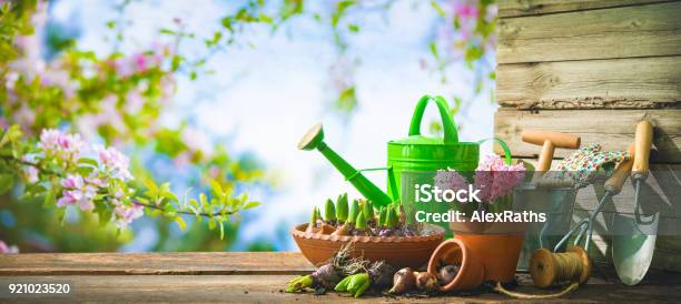 Gardening Tools And Spring Flowers On The Terrace Stock Photo - Download Image Now - Yard - Grounds, Backgrounds, Flower