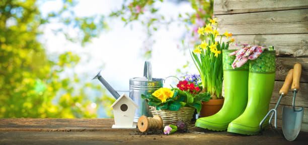 istock Gardening tools and spring flowers on the terrace 921023536