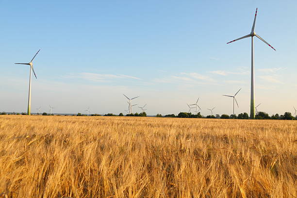 istock Power generating wind turbines on rye field 92102446
