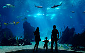 Family watching an underwater tank with corals and fish