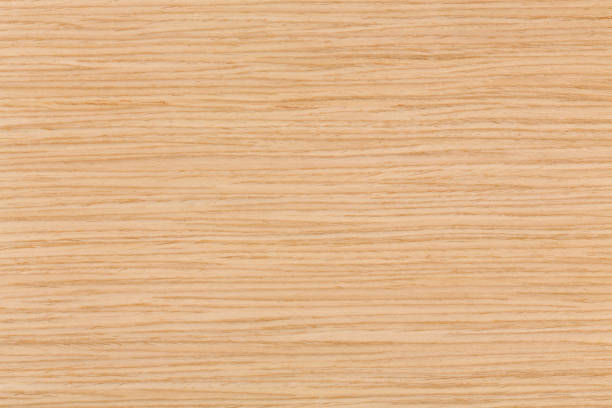 istock Bright natural oak wood texture on macro 921025694