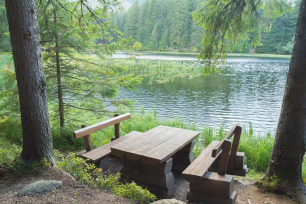 istock picnic table seating in forest near lake 921026700