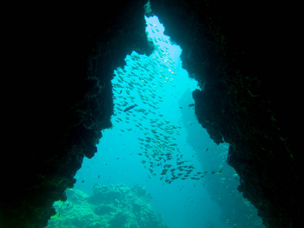 istock Underwater Deep Sea Cave, 'The Cathedral', Ko Haa, Krabi, Thailand 921028774