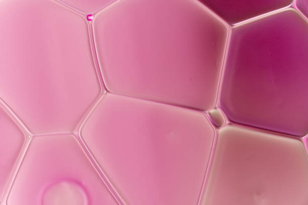 istock Detail colorful water drops 921029598