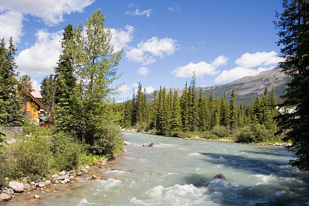 panorama de la rivière bow avec eau des glaciers - runnel photos et images de collection