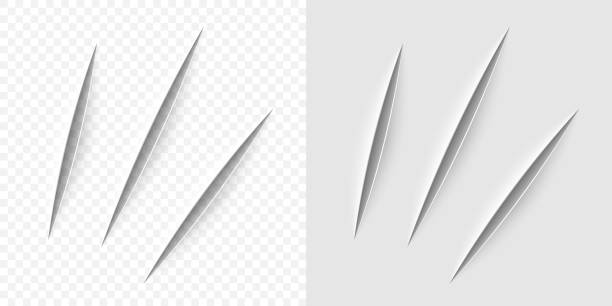 ilustrações de stock, clip art, desenhos animados e ícones de vector realistic cut with a office knife - dissection