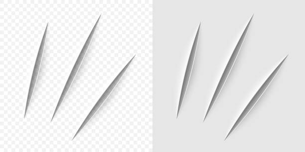 Vector realistic cut with a office knife Vector realistic cut with a office knife on paper sheet isolated. Claws animal scratches on transparent background. kitchen knife stock illustrations