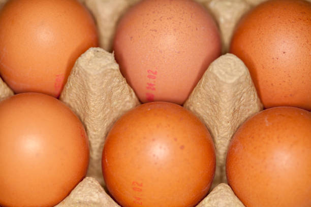 istock german eggs lies in a egg carton 921033280
