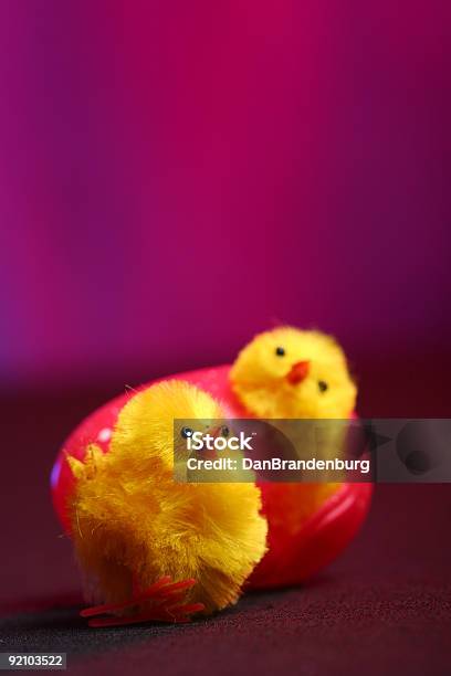 Ostern Küken Stockfoto und mehr Bilder von Dekoration - Dekoration, Ei, Ente - Geflügelfleisch