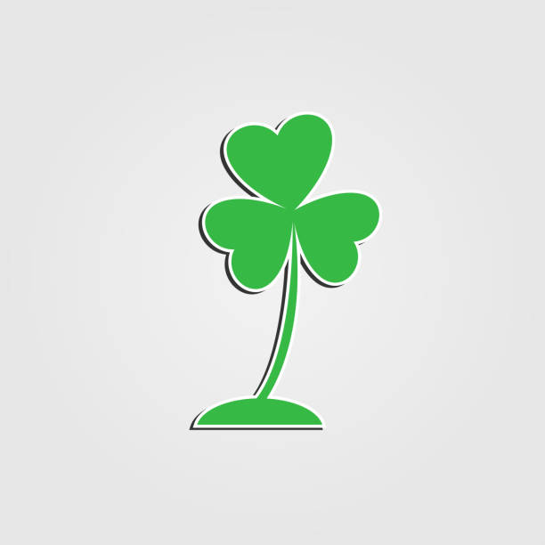 ilustrações de stock, clip art, desenhos animados e ícones de three leaf heart clover icon,bright green shamrock,isolated on white.vector illustrations - n64