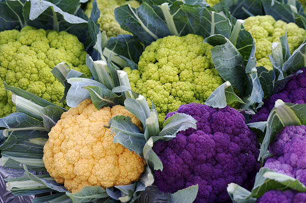 istock New varieties of cauliflower 92103749