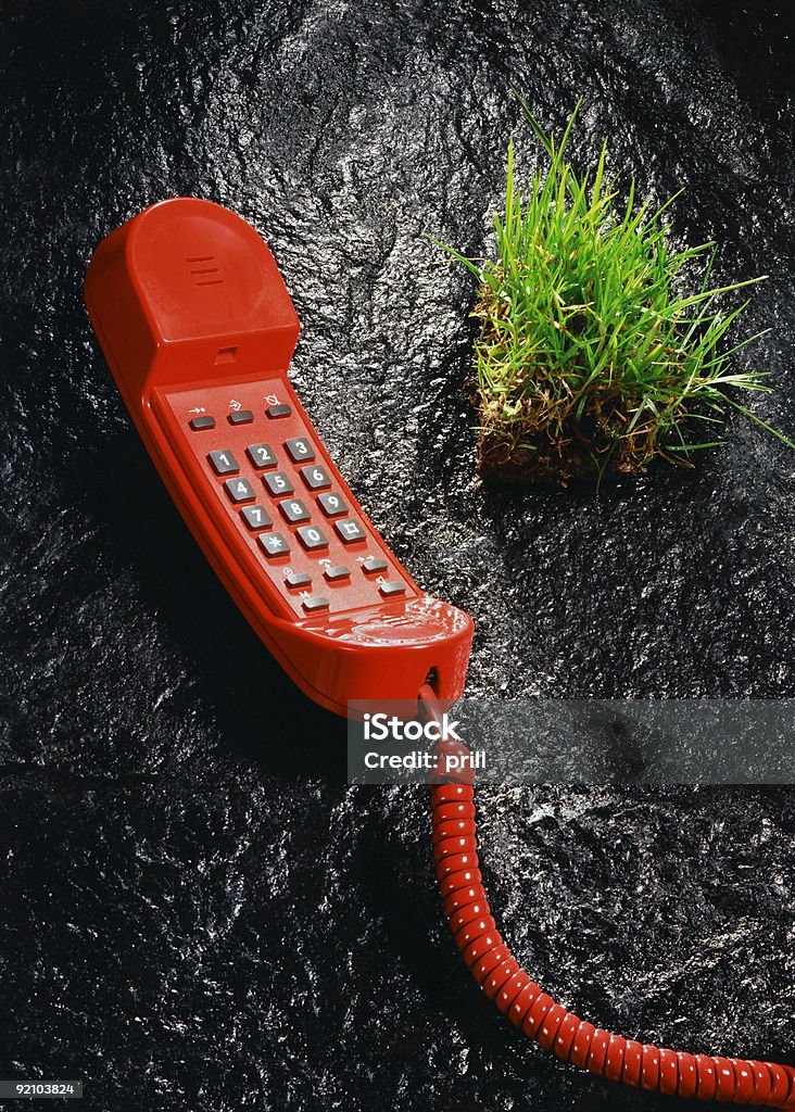 Rote Telefon und Gras turgut ozal - Lizenzfrei Farbbild Stock-Foto