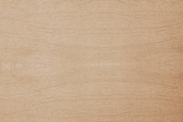 istock Wood texture background, detail close up 921039592