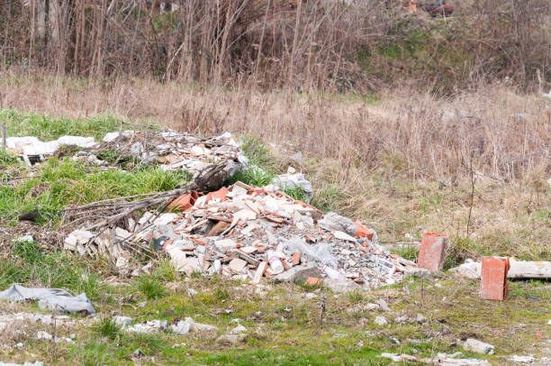 istock Garbage dump on the grass near the forest ecological disaster concept polluting nature and city park with litter and junk 921044796