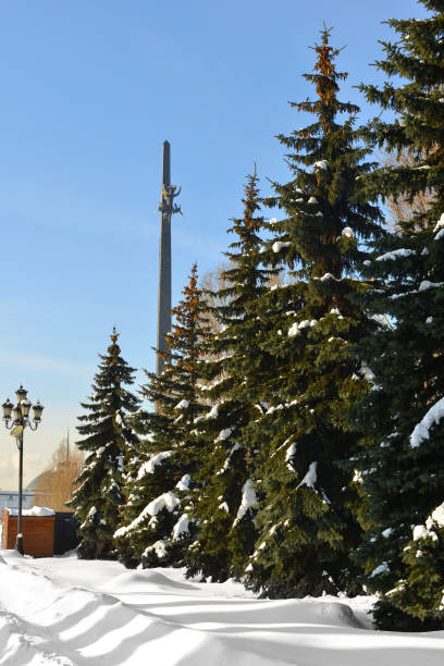 Snow-covered spruce trees in Victory Park. Moscow, Russia
