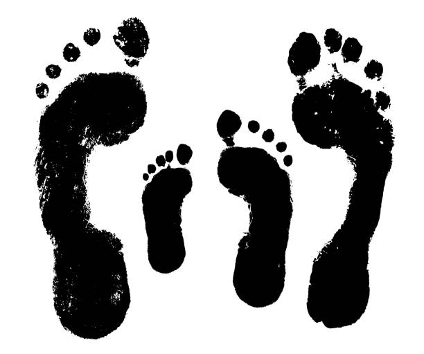 ilustrações de stock, clip art, desenhos animados e ícones de family footprint, foot imprint of a man, a woman, a child. vector silhouette on white background - shoe women adult baby