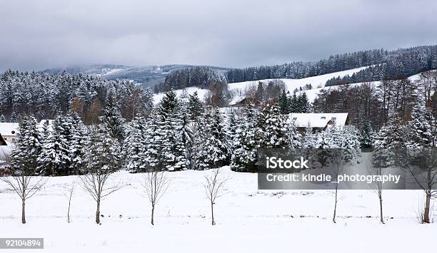 País Das Maravilhas Do Inverno - Fotografias de stock e mais imagens de A nevar - A nevar, Ao Ar Livre, Branco