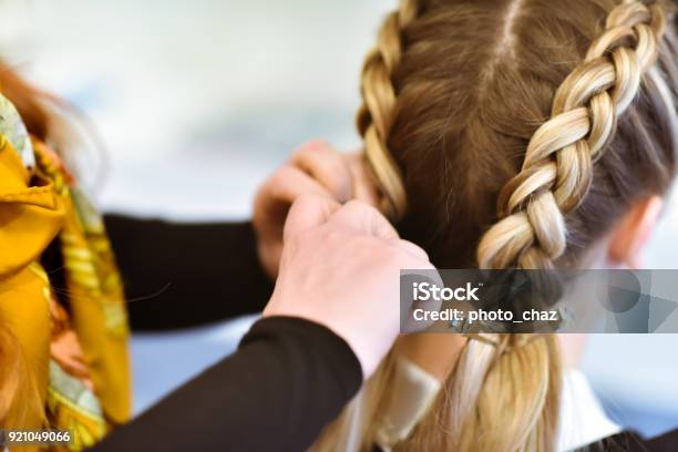 Braided Hair Stock Photo - Download Image Now - Braided Hair, Braided, Human Hair