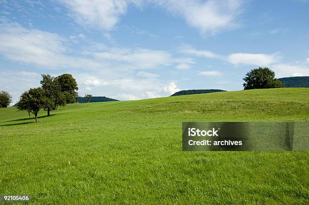 Zielone Lato Łąka - zdjęcia stockowe i więcej obrazów Bez ludzi - Bez ludzi, Chmura, Drzewo