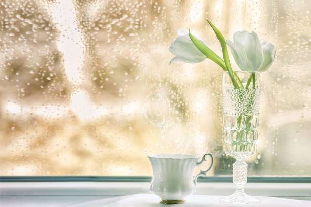 istock bouquet of tulips on a windowsill on a rainy day 921054302