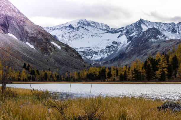 górskie jezioro z odbiciem w lustrzanej powierzchni skał w pochmurną deszczową pogodę. piękno górskiego kraju i przyrody. - mountain landscape rock european alps zdjęcia i obrazy z banku zdjęć