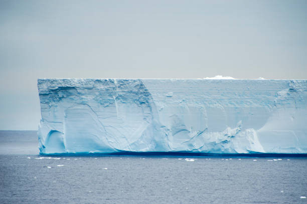 istock Antarctica: Iceberg off King George Island 921054670