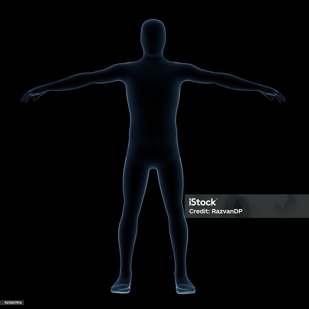 Human body xray Human body x ray. Front view. Adult Stock Photo