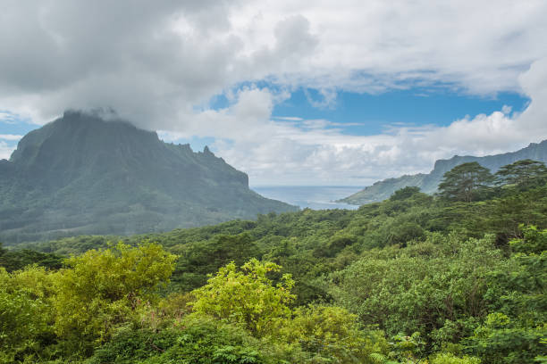 istock Moorea in Polynesia, Opunohu belvedere 921058566