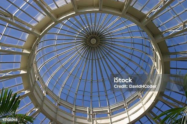 Gewächshaus Dach Mit Palmen Stockfoto und mehr Bilder von Architektur - Architektur, Farbbild, Fotografie