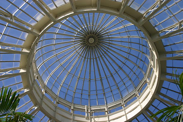 istock Greenhouse Roof with Palms 92106048