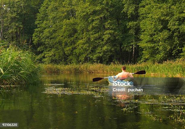 Canoagem - Fotografias de stock e mais imagens de Canoagem - Canoagem, Rio, Animal selvagem