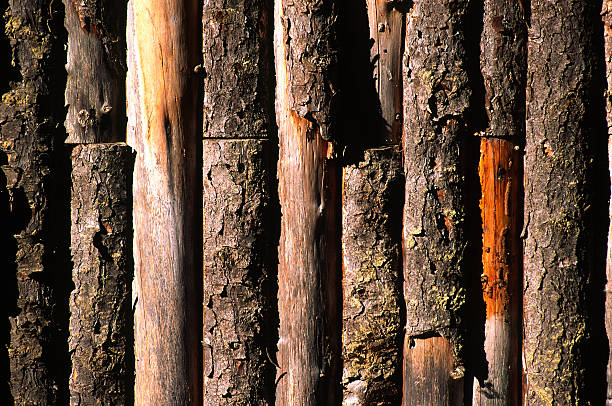 Log barn with shape of star on the top of one log