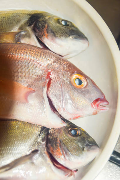 istock fresh raw bright fish with scales in a frying pan 921064842