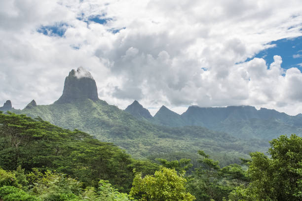 istock Moorea in Polynesia, Opunohu belvedere 921065122