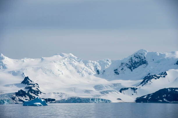 istock Antarctica landscape, icebergs, mountains and ocean 921065184
