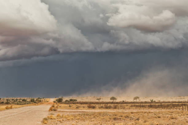 istock sand storm in namibia desert, gravel road. 921065314