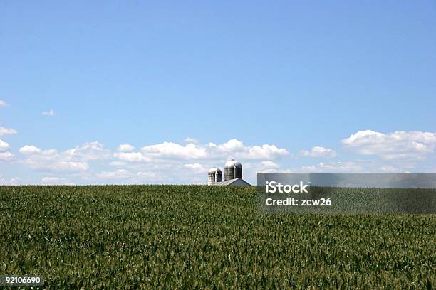 Campo De Milho - Fotografias de stock e mais imagens de Biodiesel - Biodiesel, Combustíveis e Geração de Energia, Etanol