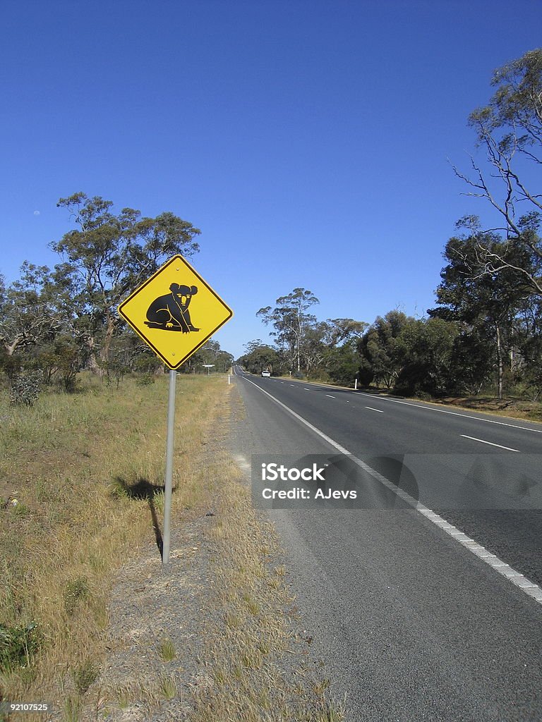 Beware of koalas  Color Image Stock Photo