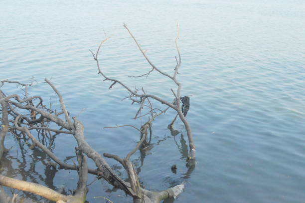 istock Lake water with ripples - Stock image 921080368