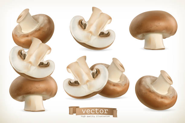 ilustraciones, imágenes clip art, dibujos animados e iconos de stock de hongos cremini marrón, 3d icono vector conjunto aislado en blanco - edible mushroom plants raw food nature